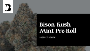 Bison Kush Mint Pre-Roll