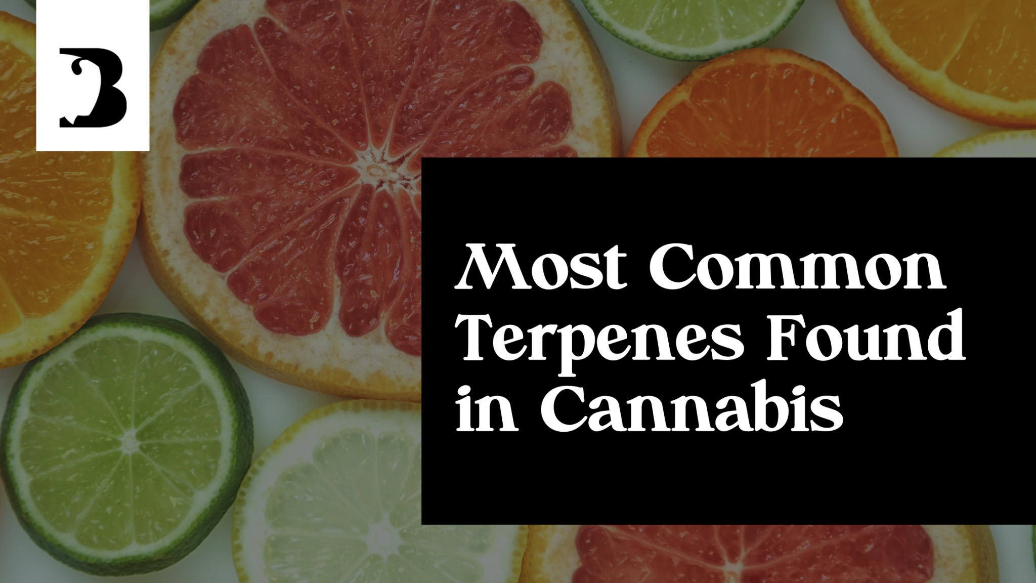 most-common-terpenes-found-in-cannabis-and-marijuana