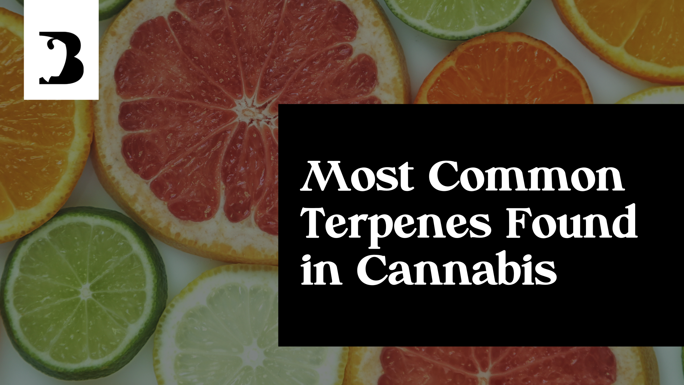Most Common Terpenes Found in Cannabis