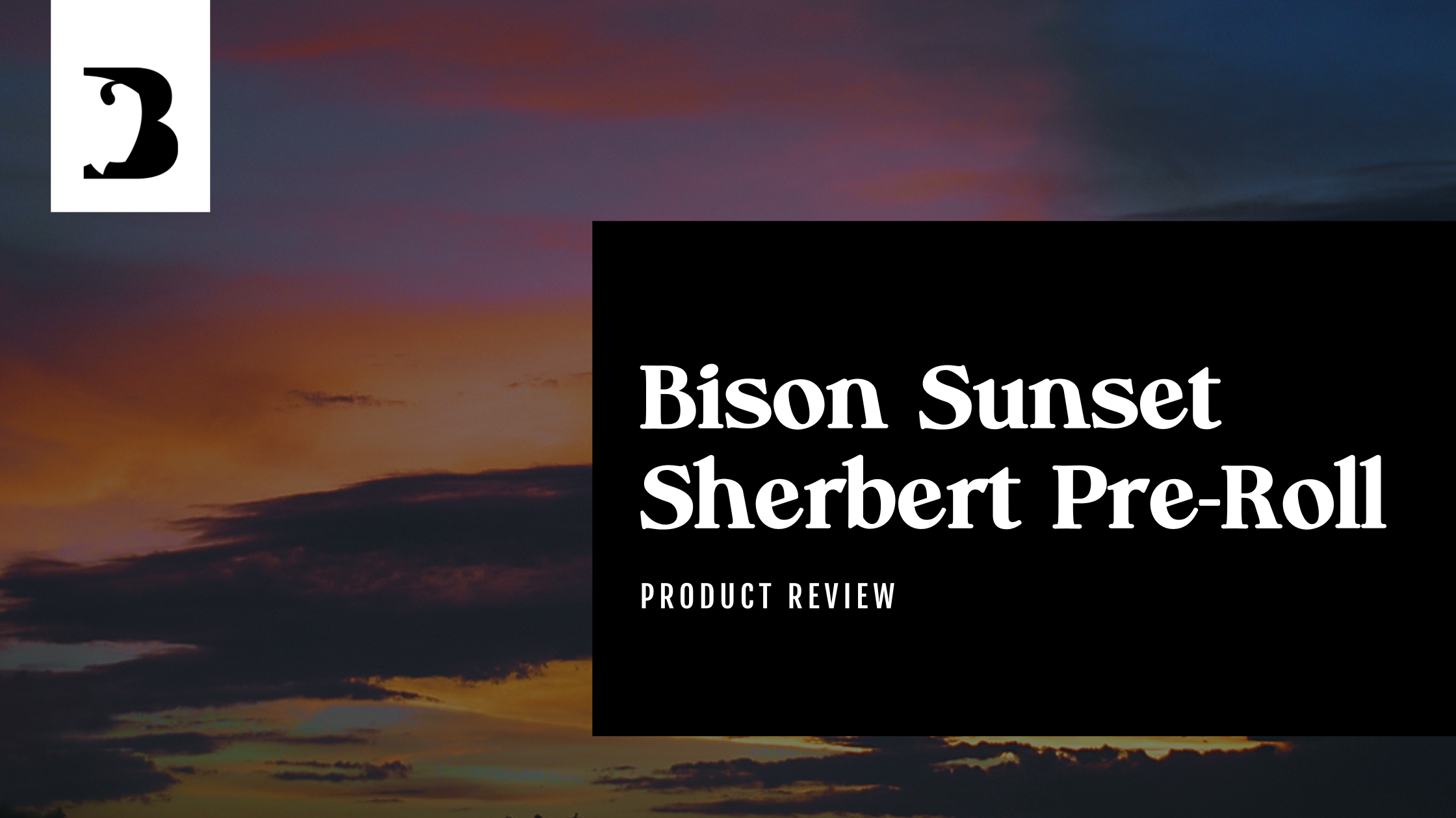 Bison Sunset Sherbet Pre-Roll