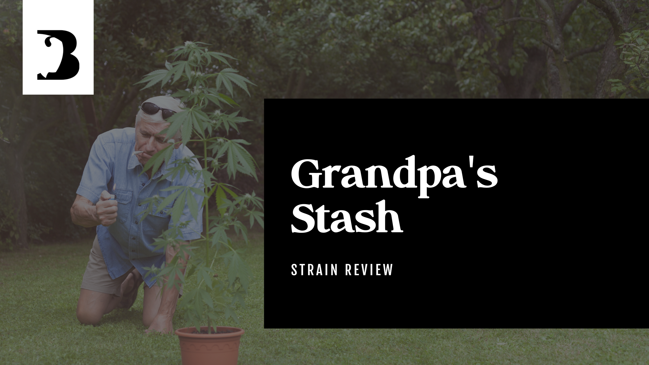 Bison Grandpa's Stash Pre-Roll