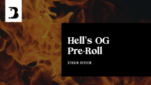 Bison Hell's OG Pre-Roll