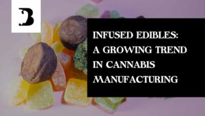 Exploring the Rise of Infused Edibles in Cannabis Manufacturing