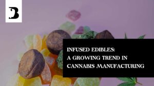 Exploring the Rise of Infused Edibles: A Trendsetting Revolution in Cannabis Manufacturing