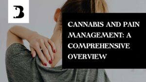 Navigating Pain with Cannabis: Your Comprehensive Guide to Effective Management