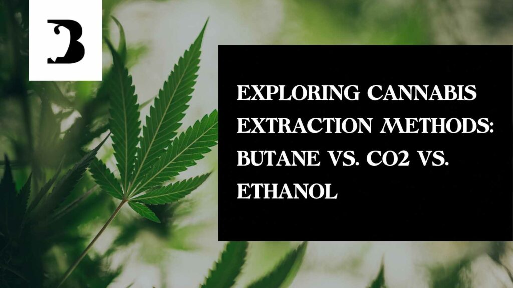 Exploring Cannabis Extraction Methods Butane Vs Co2 Vs Ethanol 6093