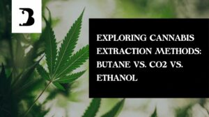 Exploring Cannabis Extraction Methods: Butane vs. CO2 vs. Ethanol